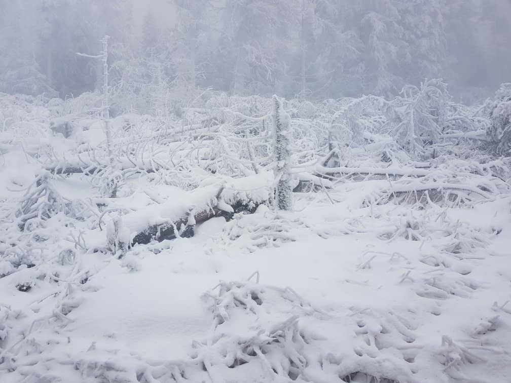 Brocken Summit Views