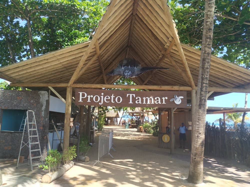 Educational Programs