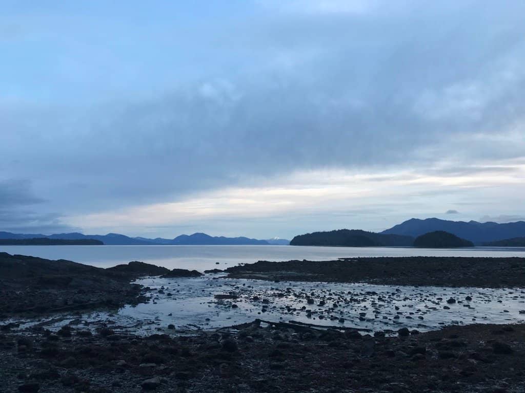 Beachcombing Adventures