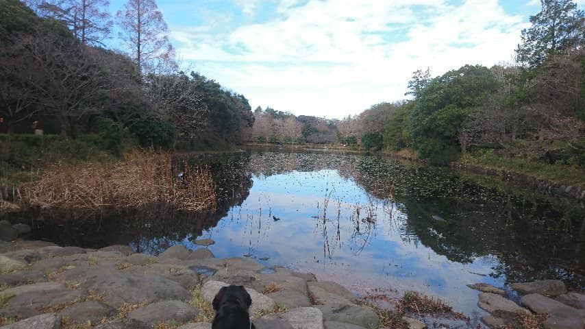 Children's Playground