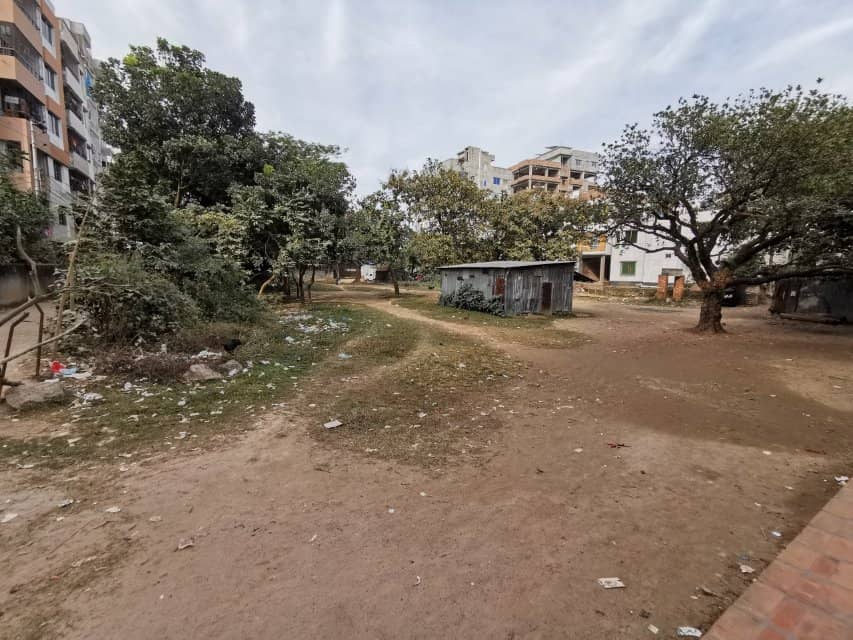 Natural Light Illumination