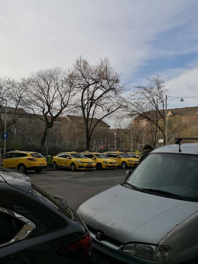 Dog Park & Fitness Equipment