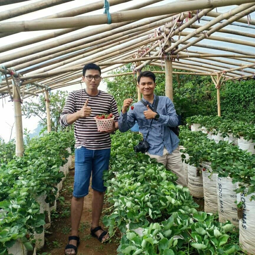 Panoramic Mountain Views