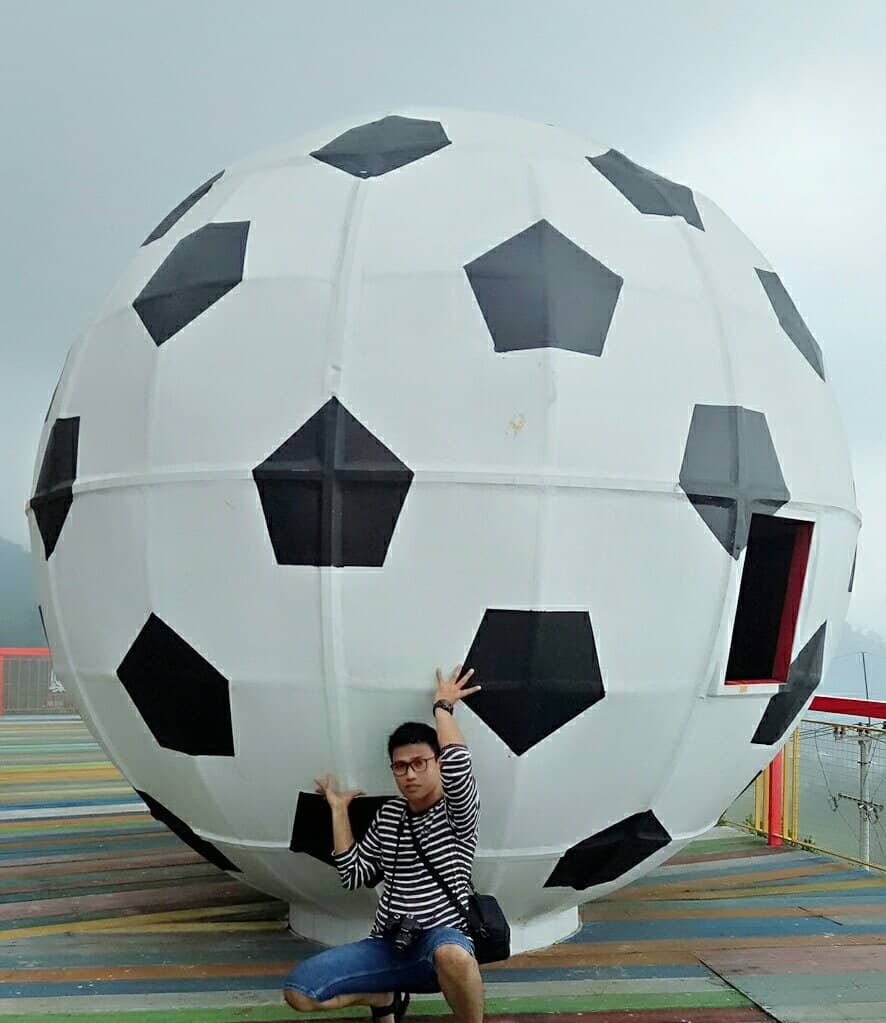 Verdant Rainforest Scenery