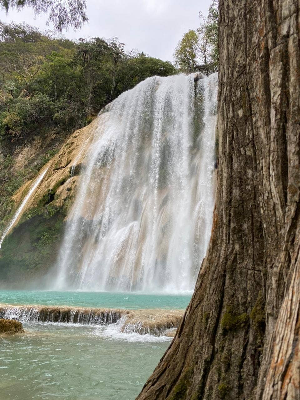 Jumping into Crystal Clear Pools