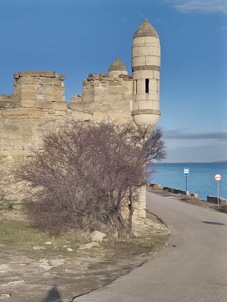 Vertical photo