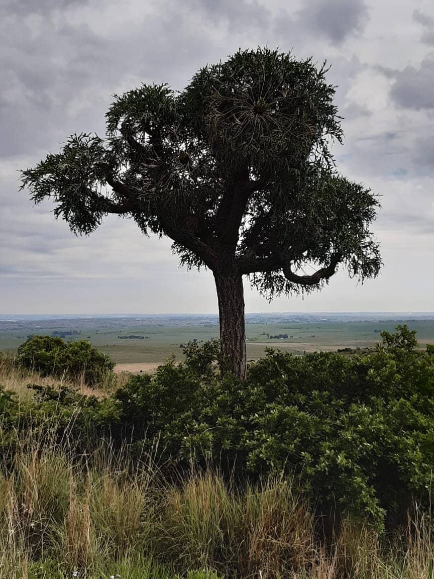 Scenic Hiking Trails
