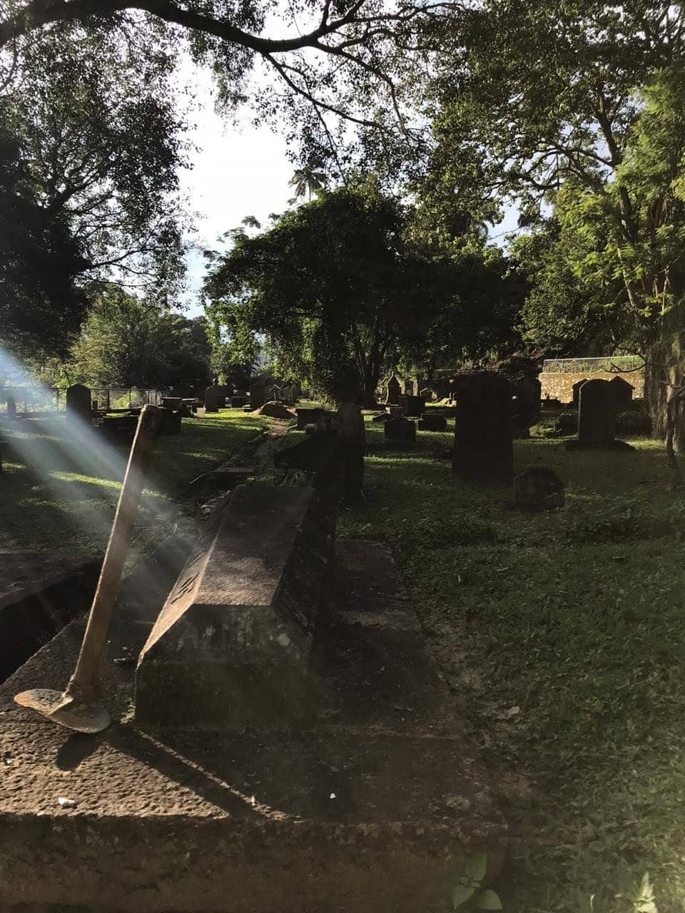 Caretaker's Insights