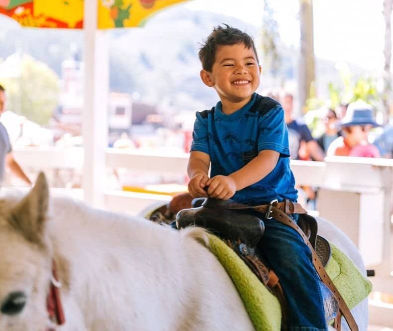 Goat Yoga Experience