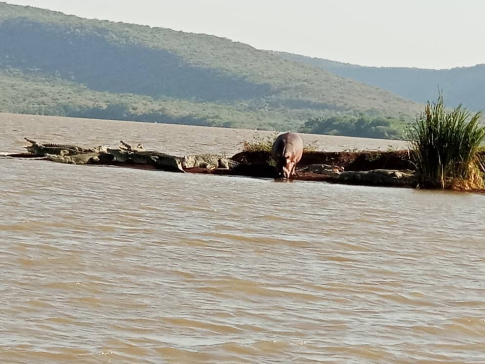 Alerce Andino National Park Proximity