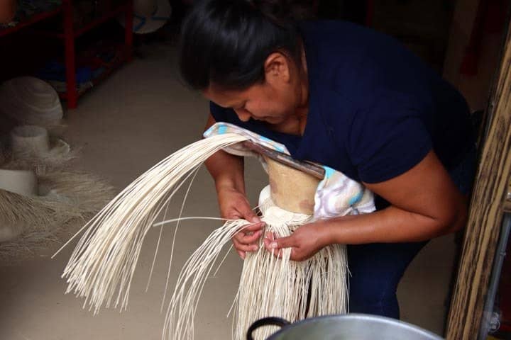 Tranquil Green Oasis