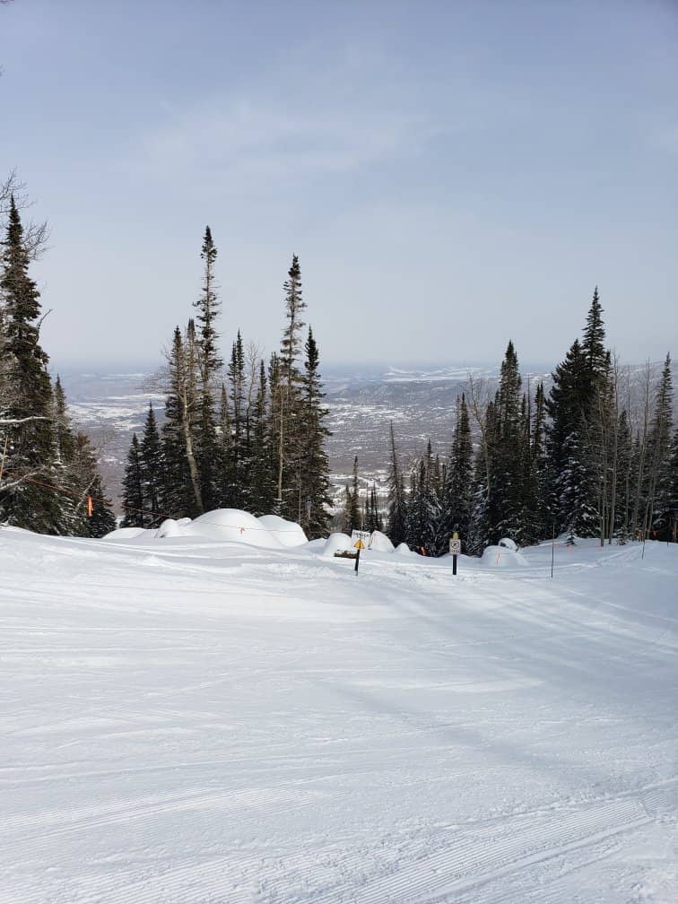 Scenic Chairlift Rides