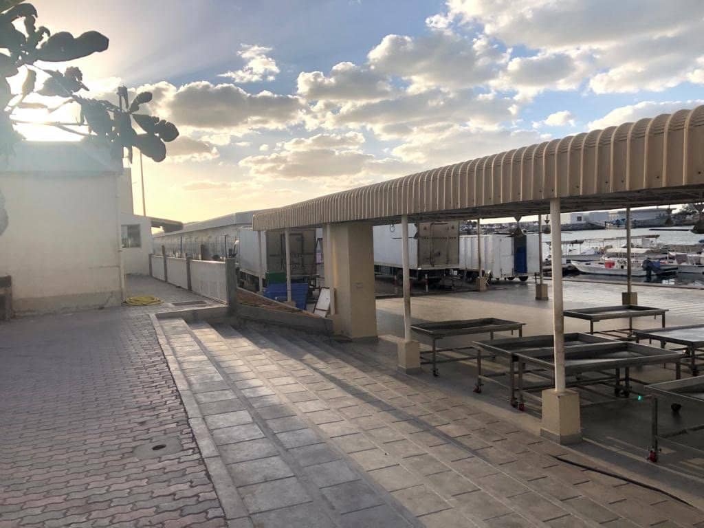 Local Culture Immersion