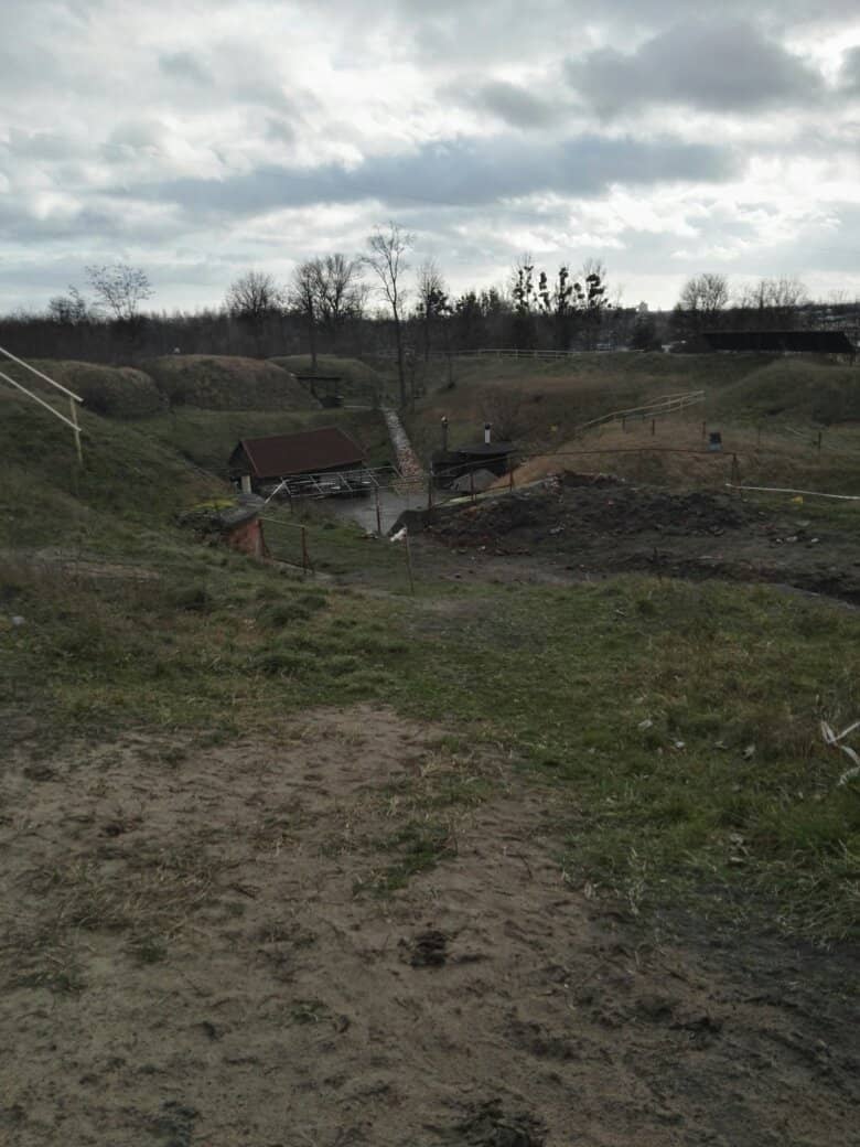 Themed Activity Programs