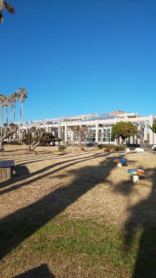 Observation Tower Views