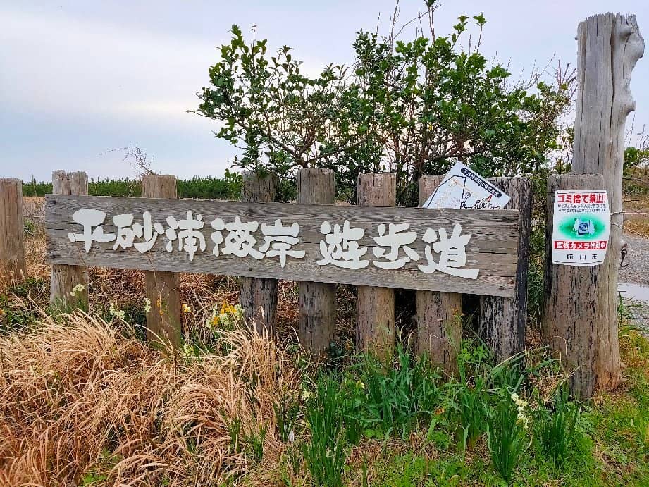Scenic Coastal Drive