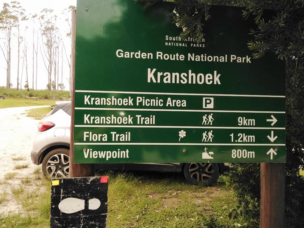 Dramatic Coastline Views