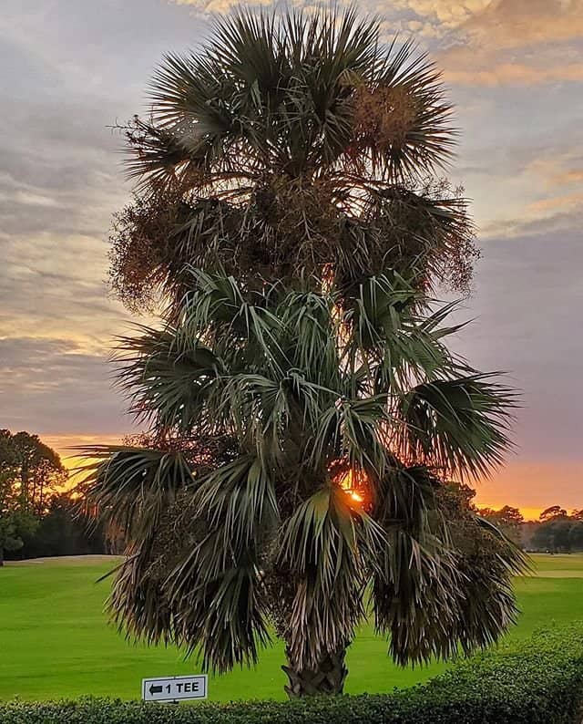 Well-Maintained Bunkers