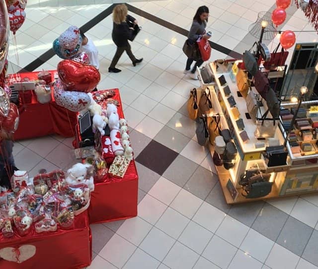 Cinema & Entertainment