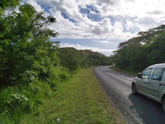 Coastal Forest Trails