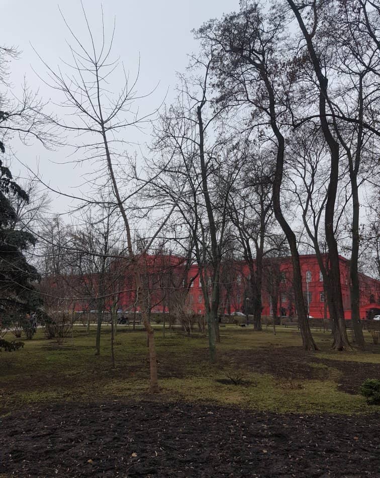 University Courtyard