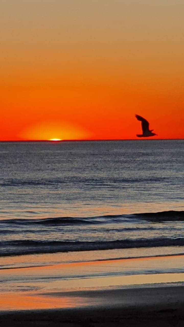 Humpback Whale Watching