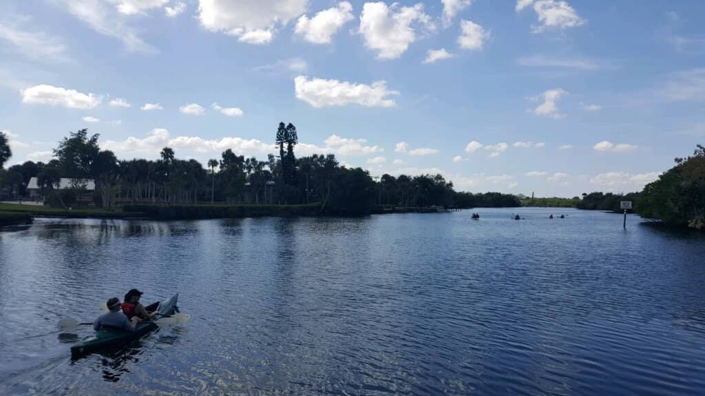 Manatee Encounters