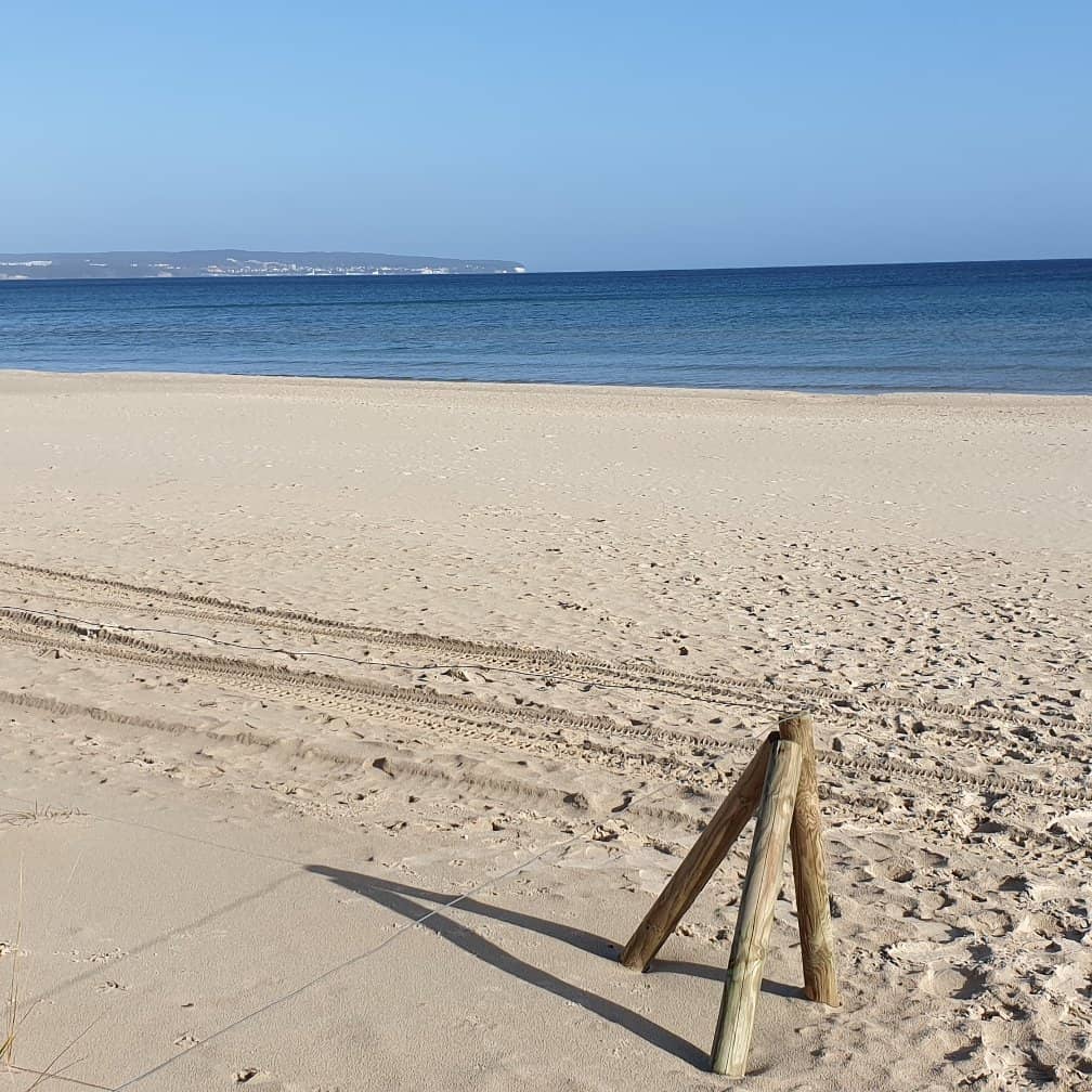 Family-Friendly Waters