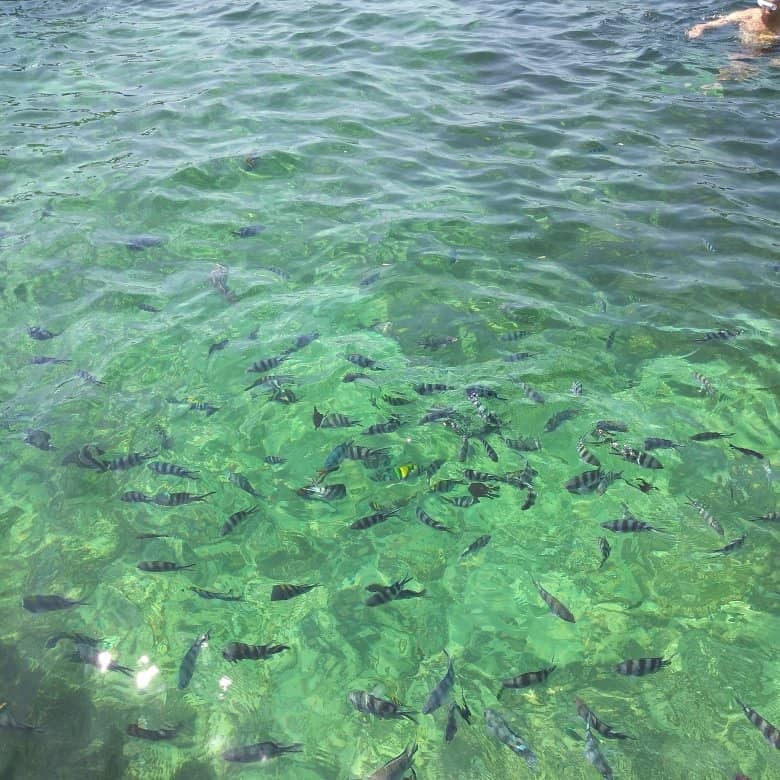 Snorkeling Adventures