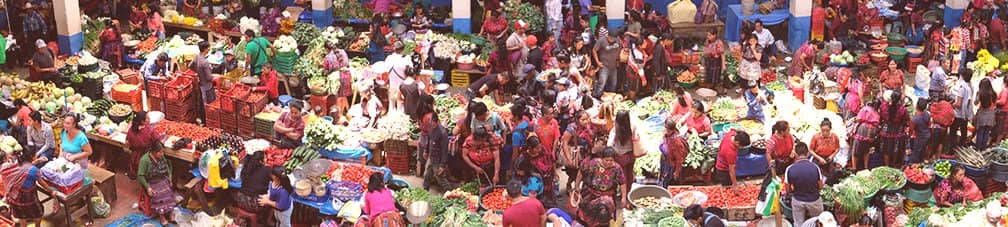 Local Produce & Food Stalls