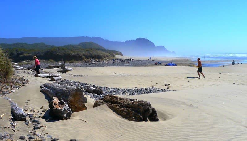 Bodega Head Trail Access