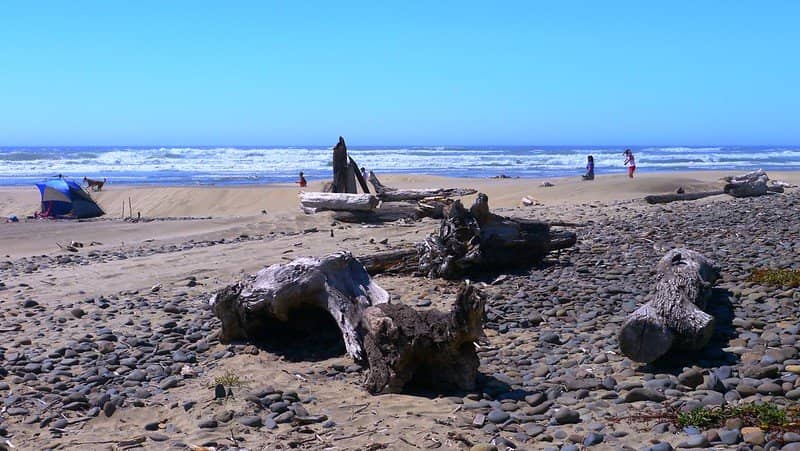 Whale Watching Views