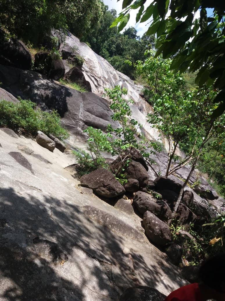 Jungle Hiking Trails