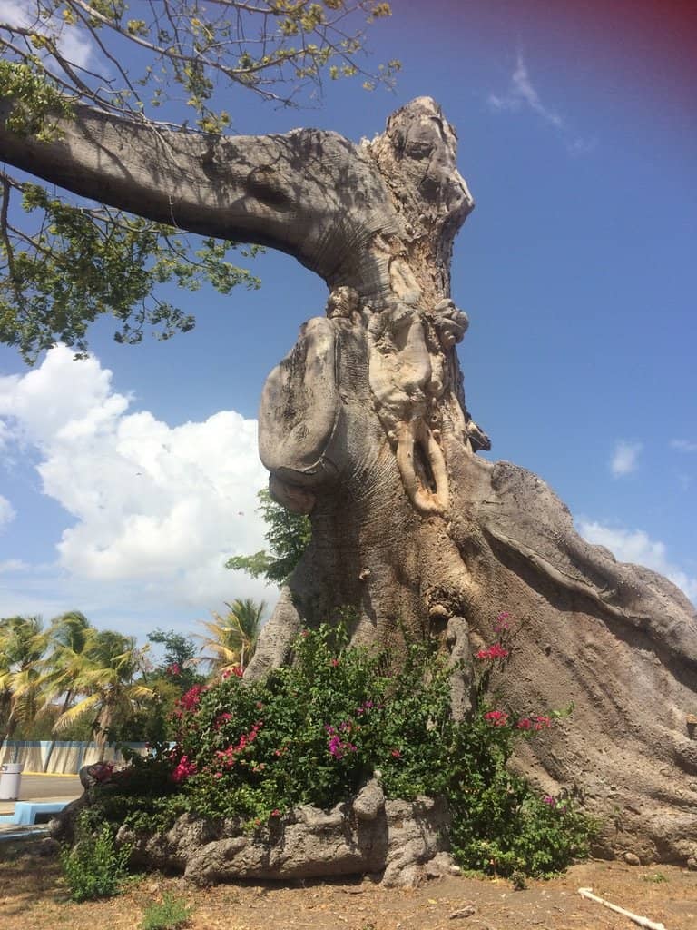 Community Art Installations