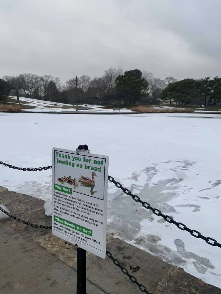 Scenic Walking Trail