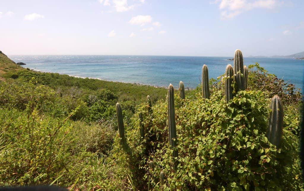 Historical Market Site