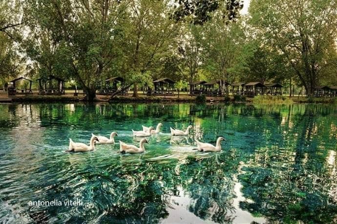 Magical Christmas Park