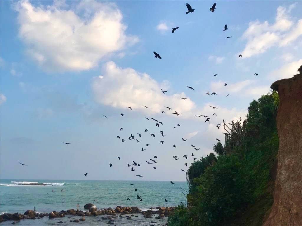 Panoramic Ocean Vistas