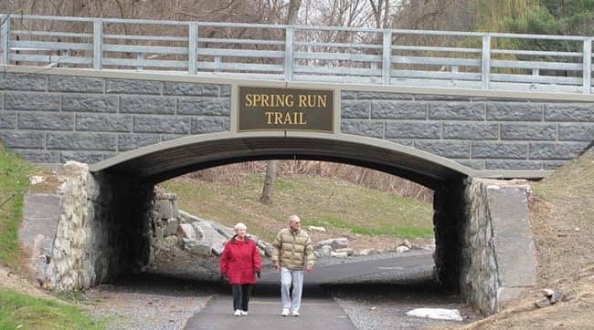 The Lush Spring Bloom