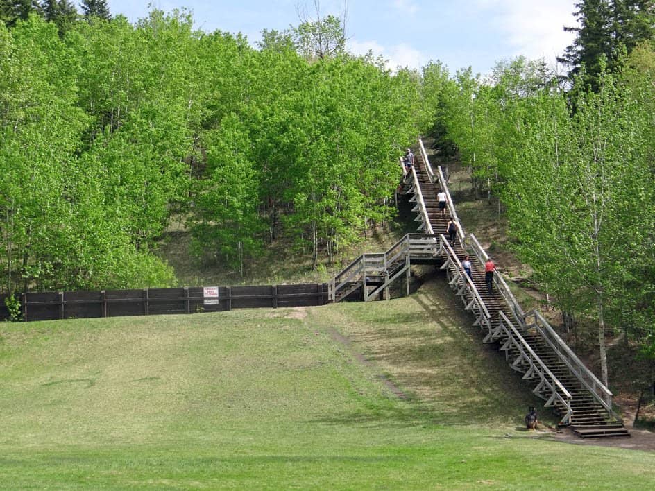 Whitemud Creek Ravine Trails