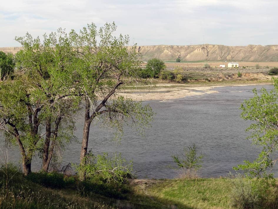 Varied Trail Network