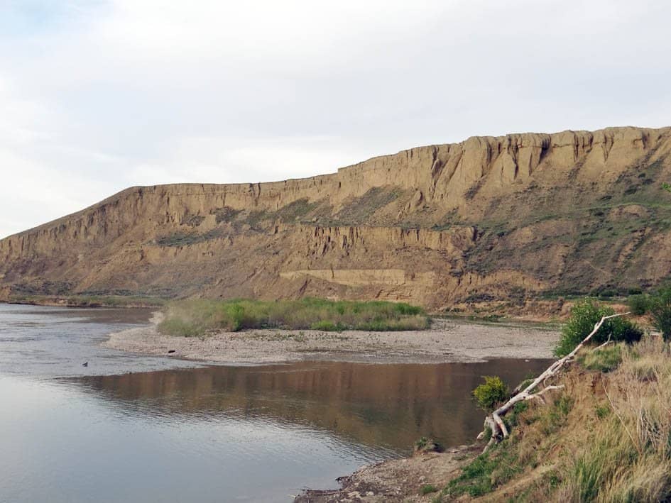 Abundant Wildlife Sightings