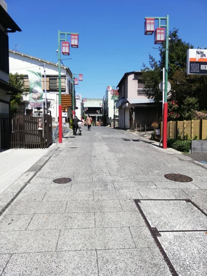 Adorable Temple Cats