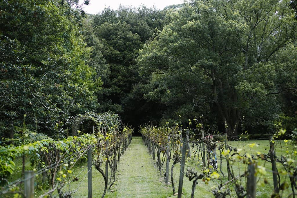 Botanical Gardens & Sculptures