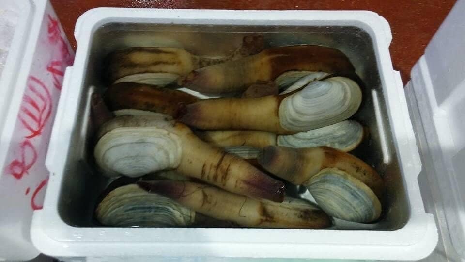 Walk-in Freezer Experience