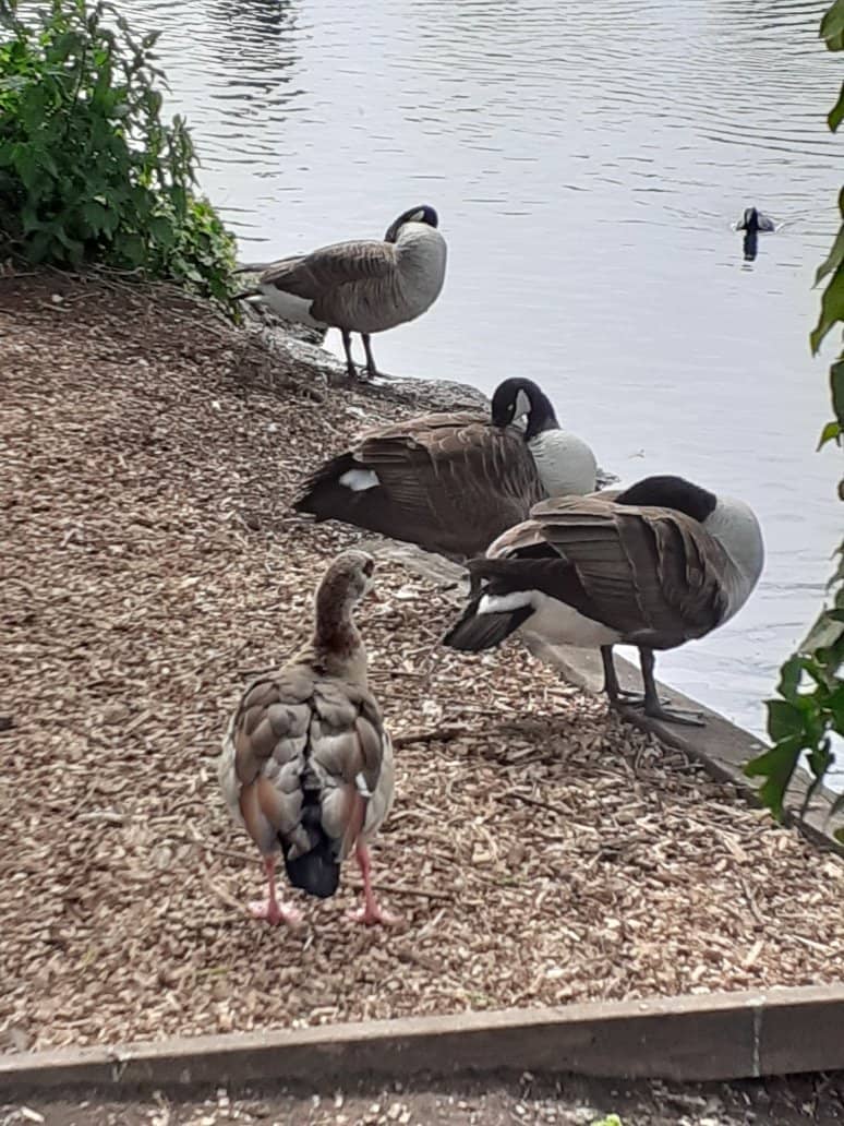 Scenic Walking Trails