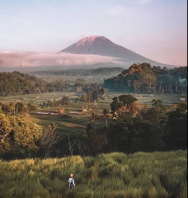 Immersive Culinary Education