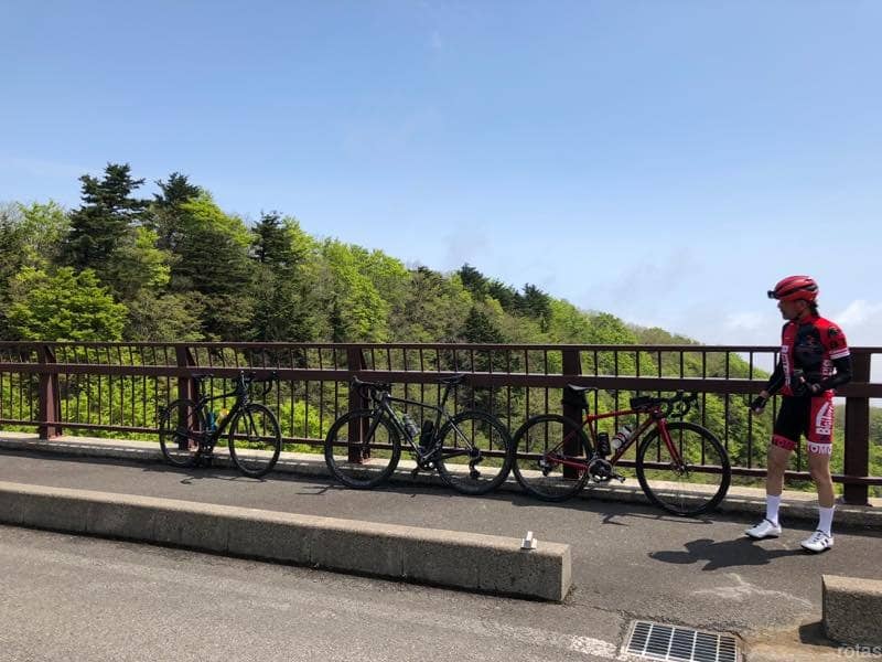 Autumn Foliage Spectacle