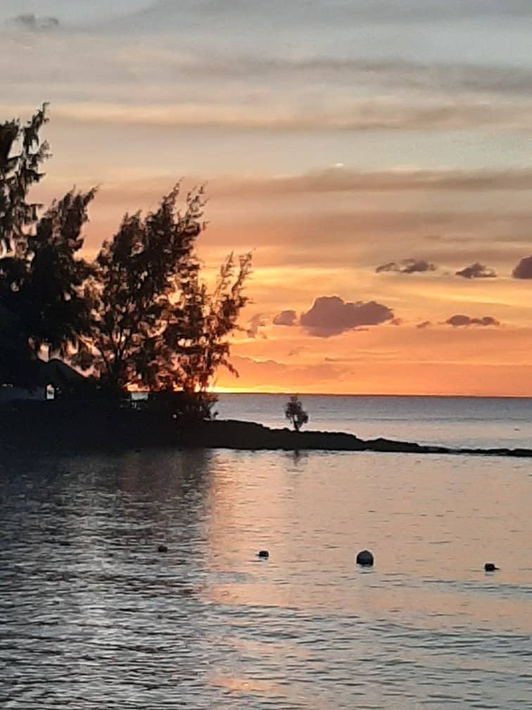 Family-Friendly Swimming