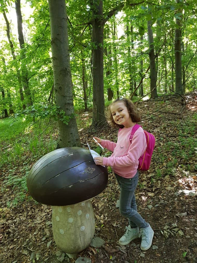 Erzsébet Lookout Tower